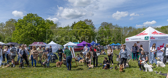 Scruffts @ Hylands Park 5th May 2024-049