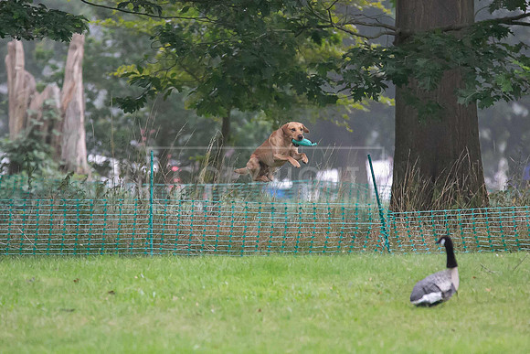 Jixenwell Scurry Challenge Final 2024-0106
