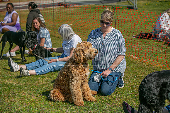 Scruffts @ Newark 27th April 2025-100