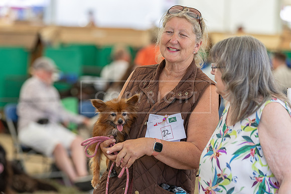 Scruffts Heat @ Windsor 29th June 2025-95