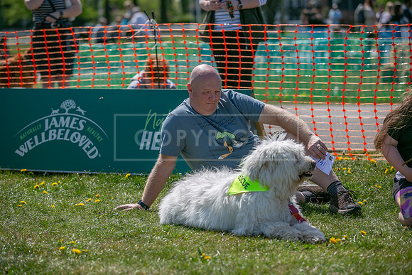 Scruffts @ Newark 27th April 2025-40