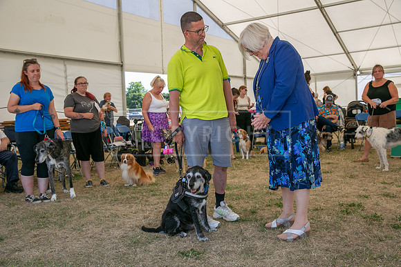 Scruffts Heat @ Windsor 29th June 2025-94