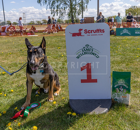 Scruffts @ Newark 27th April 2025-26