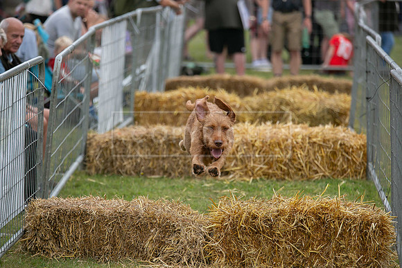 Jixenwell Scurry @ Sandringham 2024-019