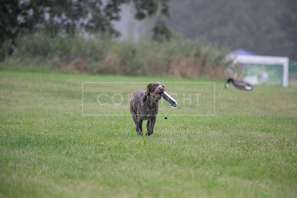 Jixenwell Scurry Challenge Final 2024-0082