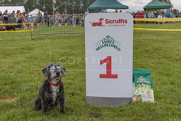 Scruffts Heat @ Shrewsbury 24th May 2025-89