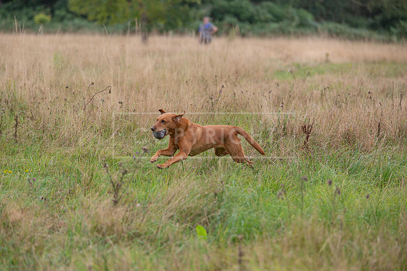 Jixenwell Scurry Challenge Final 2024-0471