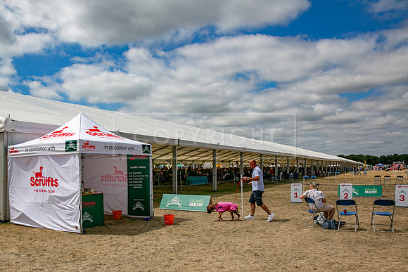 Scruffts Heat @ Windsor 29th June 2025-1