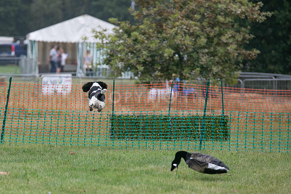 Jixenwell Scurry Challenge Final 2024-0329