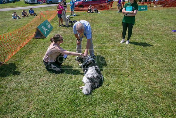 Scruffts heat @ Wadebridge 13th July 2025-84