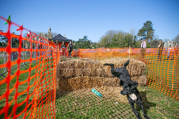 Thoresby Sun 30th Mar 25-069