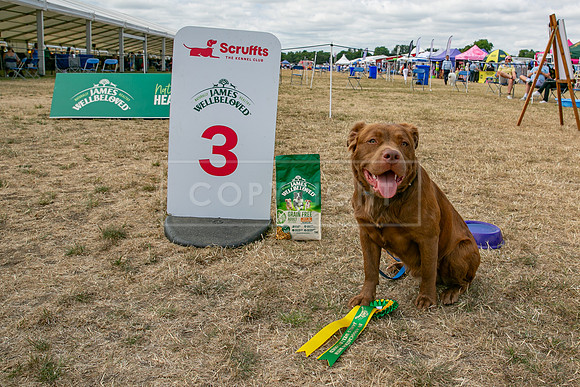 Scruffts Heat @ Windsor 29th June 2025-46