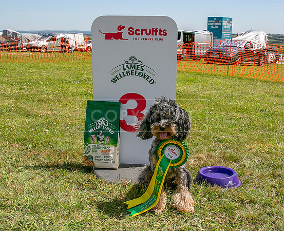 Scruffts heat @ Wadebridge 13th July 2025-99