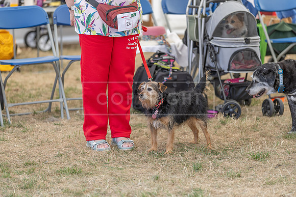 Scruffts Heat @ Windsor 29th June 2025-88