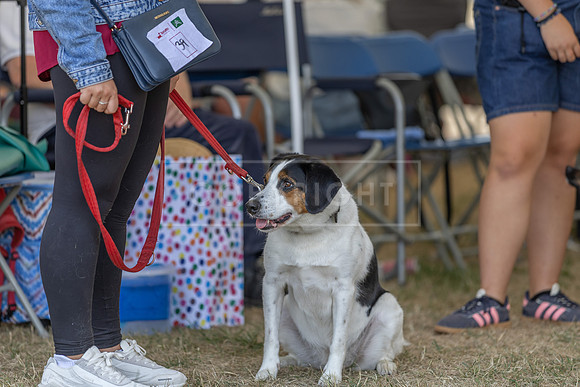 Scruffts Heat @ Windsor 29th June 2025-72