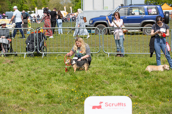 Scruffts @ Hylands Park 5th May 2024-069