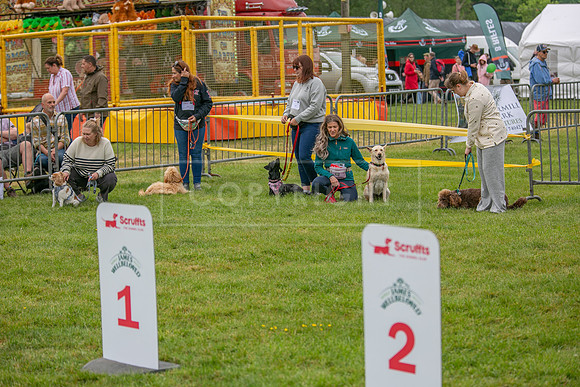 Scruffts Heat @ Shrewsbury 24th May 2025-40