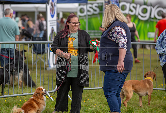 Scruffts @ Hylands Park 5th May 2024-099