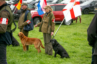 Open Spaniel-016