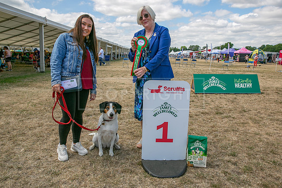 Scruffts Heat @ Windsor 29th June 2025-80