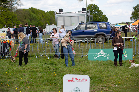Scruffts @ Hylands Park 5th May 2024-070