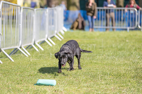 Thoresby Sun 30th Mar 25-235