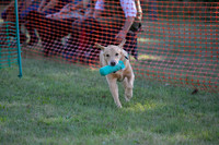 Jixenwell Junior Scurry Challenge Final 2024-020