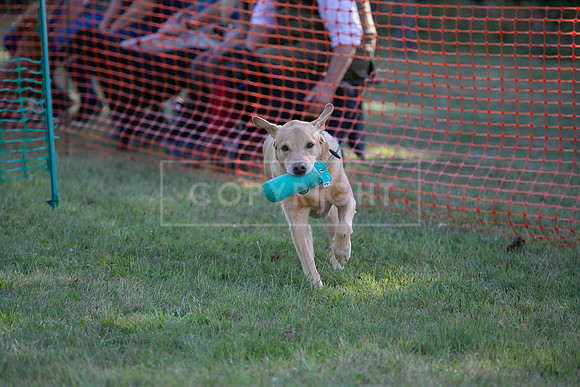 Jixenwell Junior Scurry Challenge Final 2024-020