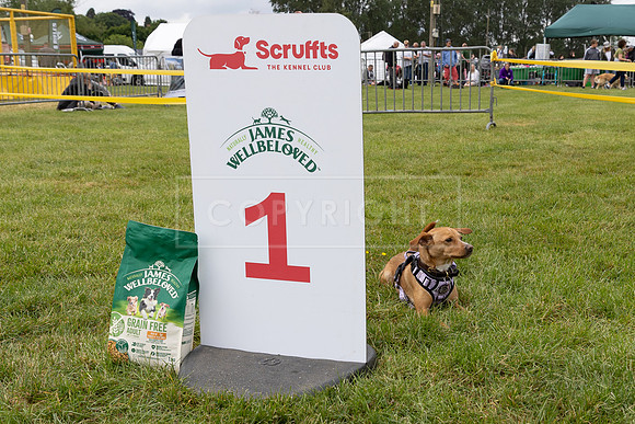 Scruffts Heat @ Shrewsbury 24th May 2025-60