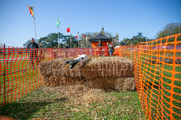 Thoresby Sun 30th Mar 25-105