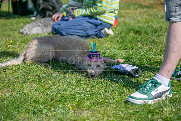Scruffts @ Newark 27th April 2025-86