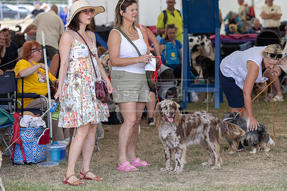Scruffts Heat @ Windsor 29th June 2025-7