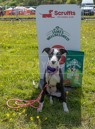 Scruffts @ Hylands Park 5th May 2024-066