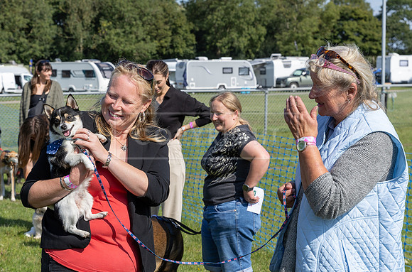 Scruffts Family Crossbreed of the Year competition, Detling, 15th Sept 2024-014