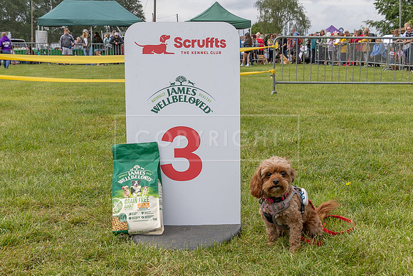 Scruffts Heat @ Shrewsbury 24th May 2025-66