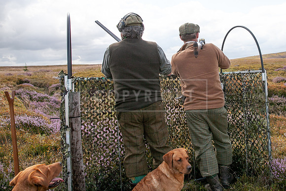 Upperwood 19th  Aug-251