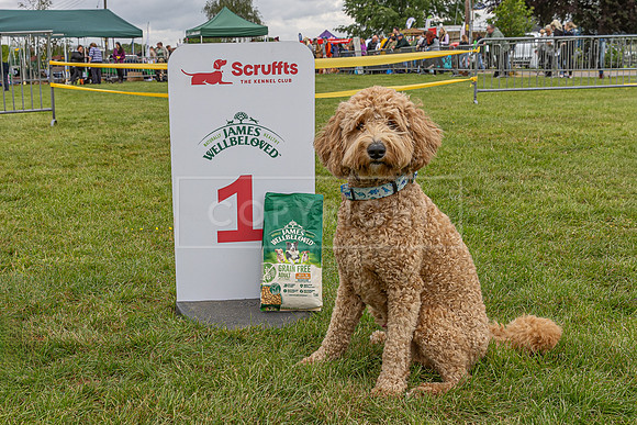 Scruffts Heat @ Shrewsbury 24th May 2025-108