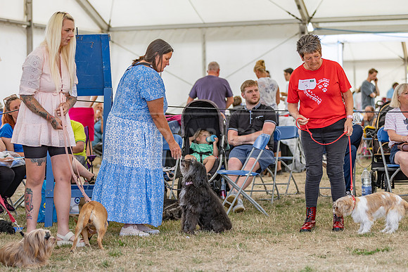 Scruffts Heat @ Windsor 29th June 2025-52