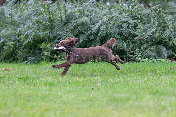 Jixenwell Scurry Challenge Final 2024-0219