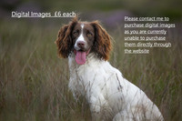 A1 Digital Images