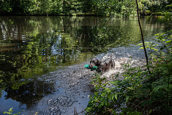Int Retriever Day 1 -150