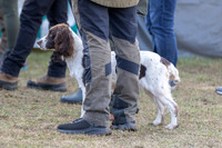 Sandringham Day 2 Sun 14th Sept 2025-6
