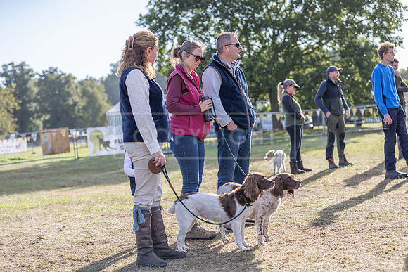 Sandringham Day 2 Sun 14th Sept 2025-8