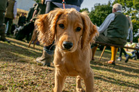 Sandringham Day 2 Sun 14th Sept 2025-10
