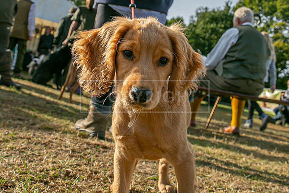 Sandringham Day 2 Sun 14th Sept 2025-10