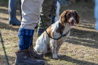 Sandringham Day 2 Sun 14th Sept 2025-11