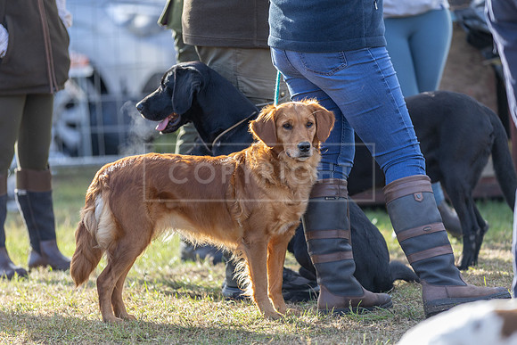 Sandringham Day 2 Sun 14th Sept 2025-12