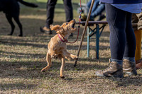 Sandringham Day 2 Sun 14th Sept 2025-14