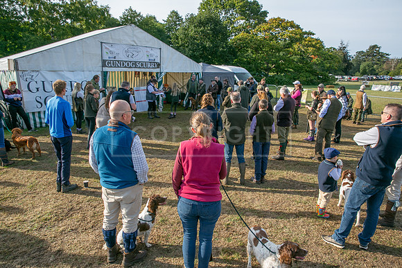 Sandringham Day 2 Sun 14th Sept 2025-15