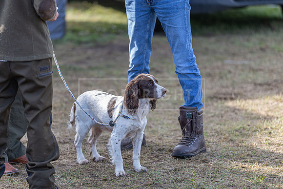 Sandringham Day 2 Sun 14th Sept 2025-26